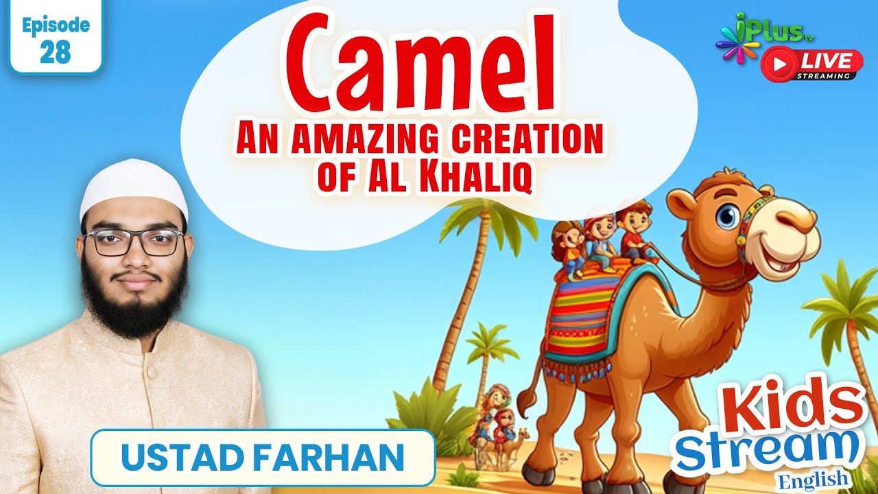 Camel An Azazing Creation Of Al Khaliq | KIDS STREAM English EP 28 |  Ustad Farhan Somani iPlusTv