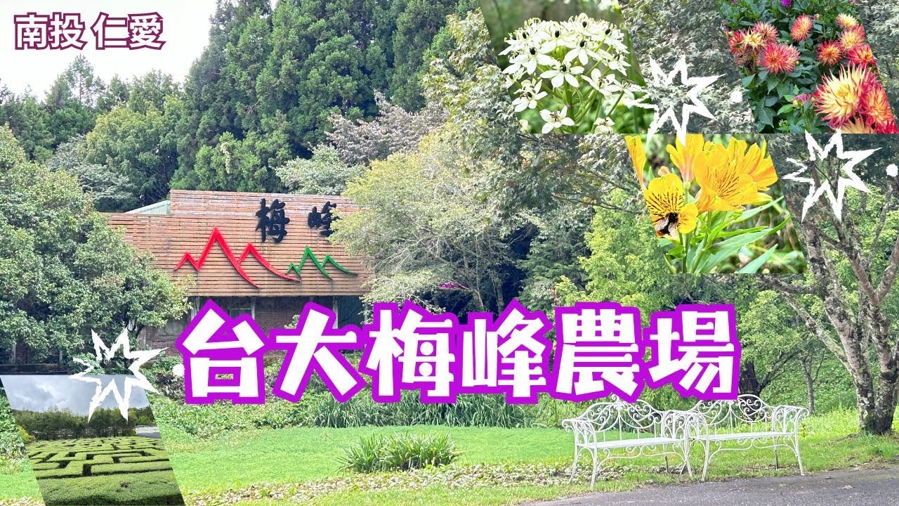 2024 -8 南投 仁愛 台大梅峰農場/要預約購票才能參訪的秘境/四季不同美景/賞花採果生態之旅