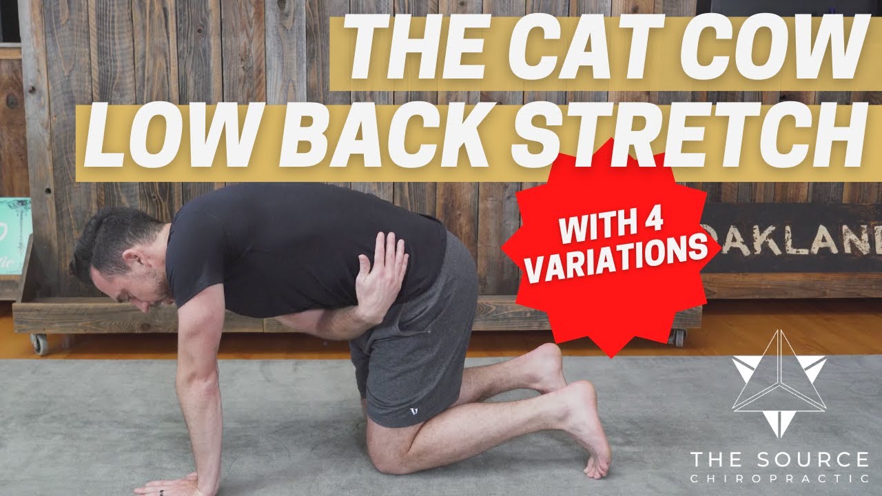 (ADVANCED) Cat Cow Stretch For Low Back Pain