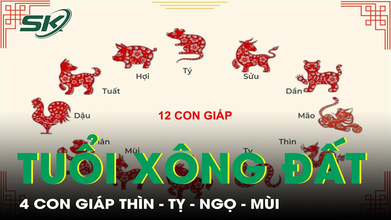 Xông đất năm Bính Ngọ 2026: Gia chủ tuổi Thìn – Tỵ – Ngọ – Mùi nên mời ai để mở cửa đón lộc? | SKĐS