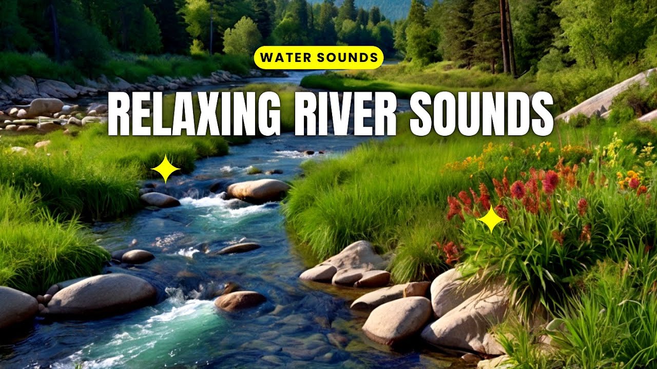 10 Hours Riverside Camping in the Soothing Rain [Enjoying the Relaxing Sounds of Nature, ASMR]
