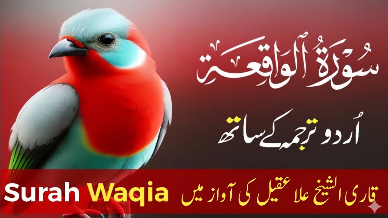 Surah Waqiah With Urdu Translation By Qari Shaikh Alaa Aqel | Urdu And Hindi Tarjuma Episode 200