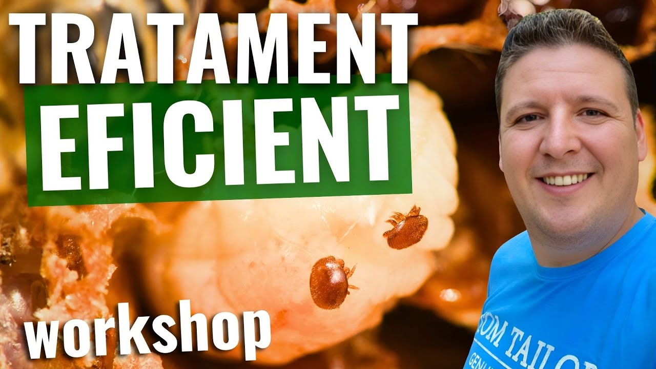 Tratament Eficient În Stupină – FULL Workshop