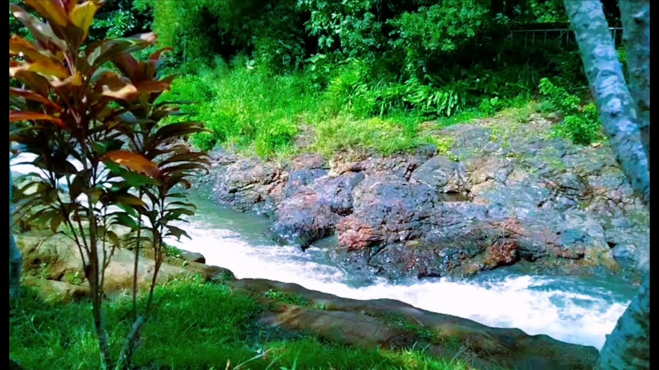 Tranquil River Ambience – Soft Stream and Forest Sounds for Deep Sleep and Inner Peace