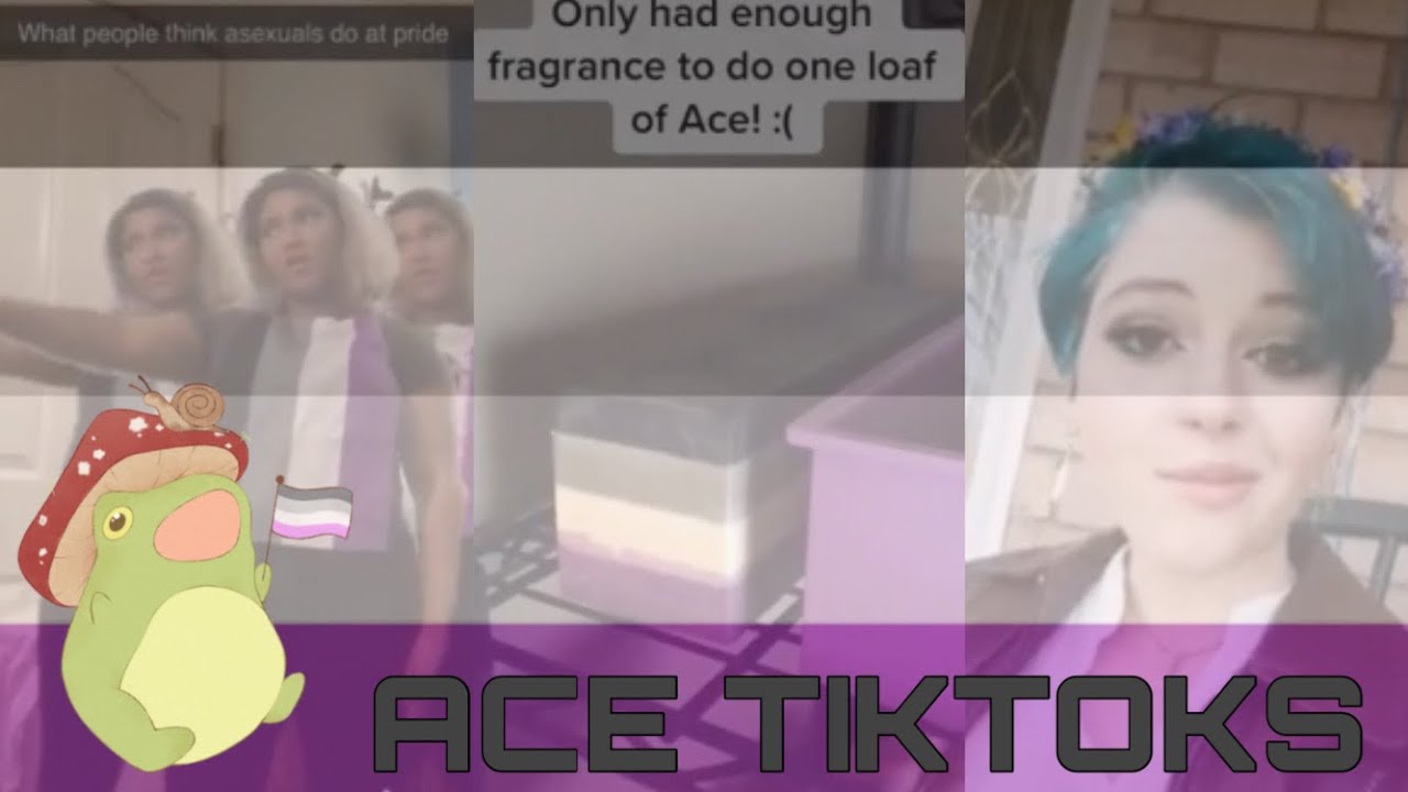 A JUMBO PACK OF ACE TIKTOKS TO ADD TO YOUR COLLECTION | Asexual Tiktoks