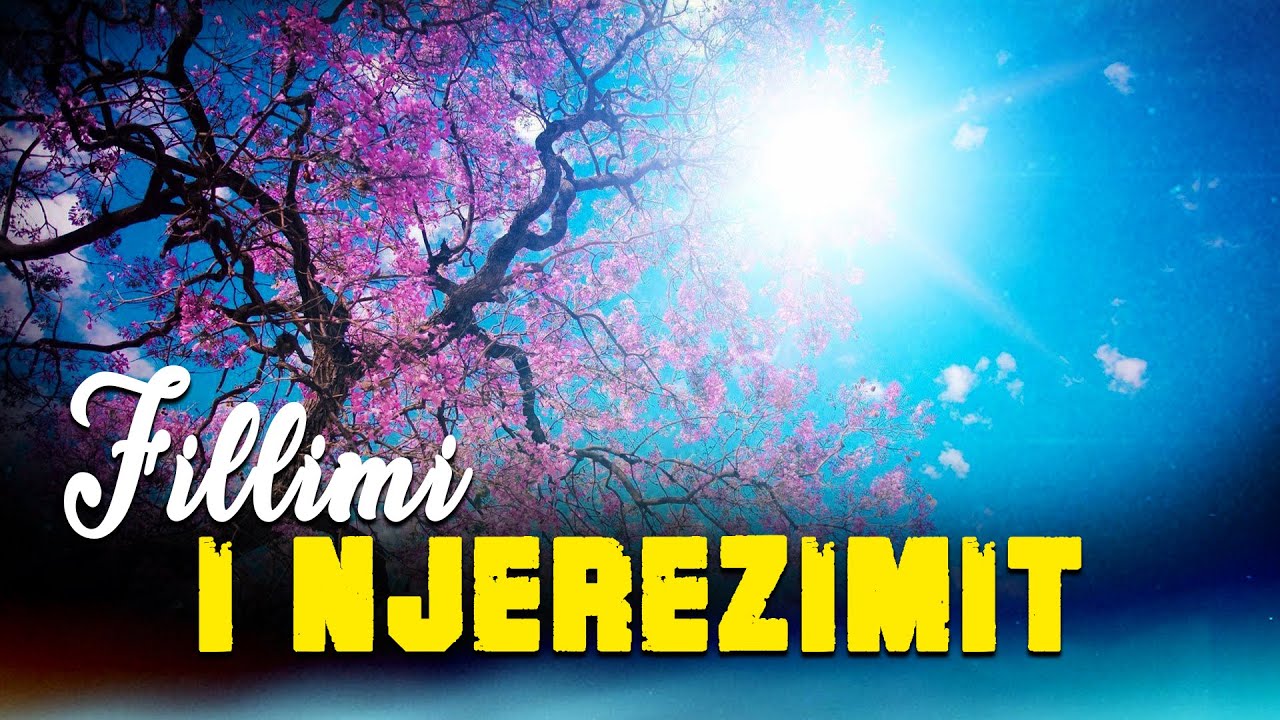Pse njerezimi ka ardhur vetem nga 2 njerez? Cili eshte sekreti?