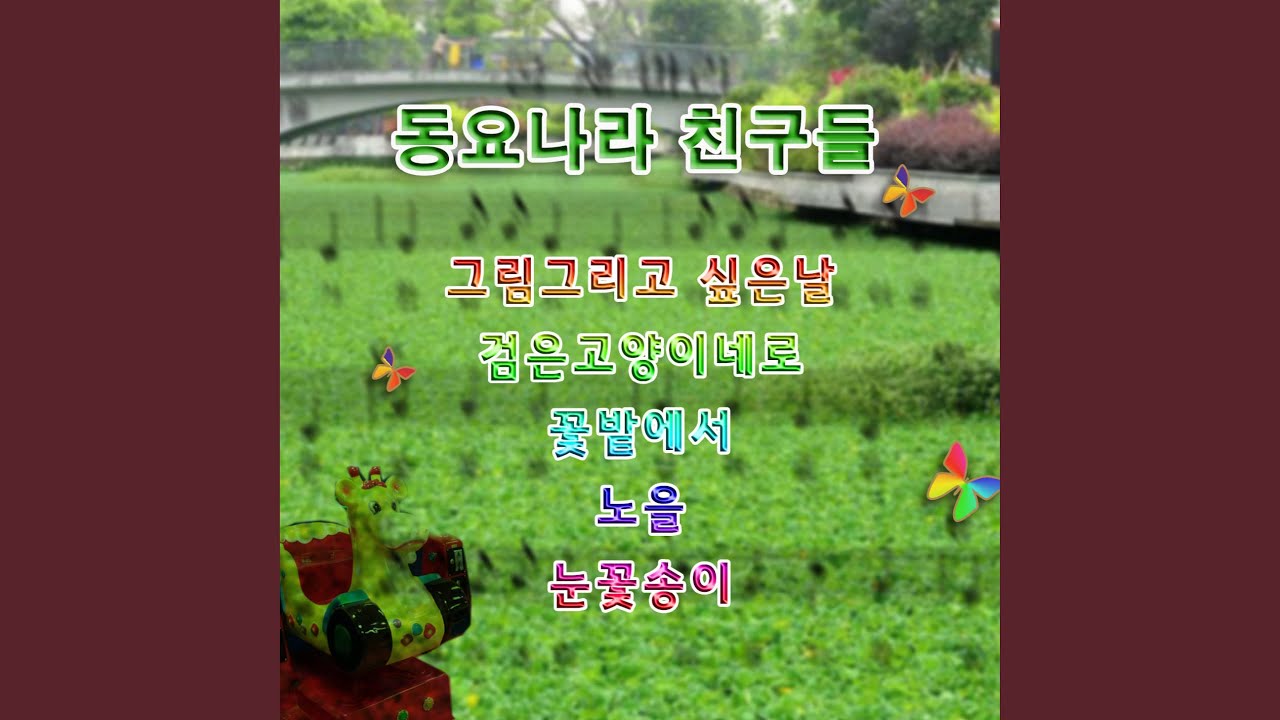 검은 고양이 네로