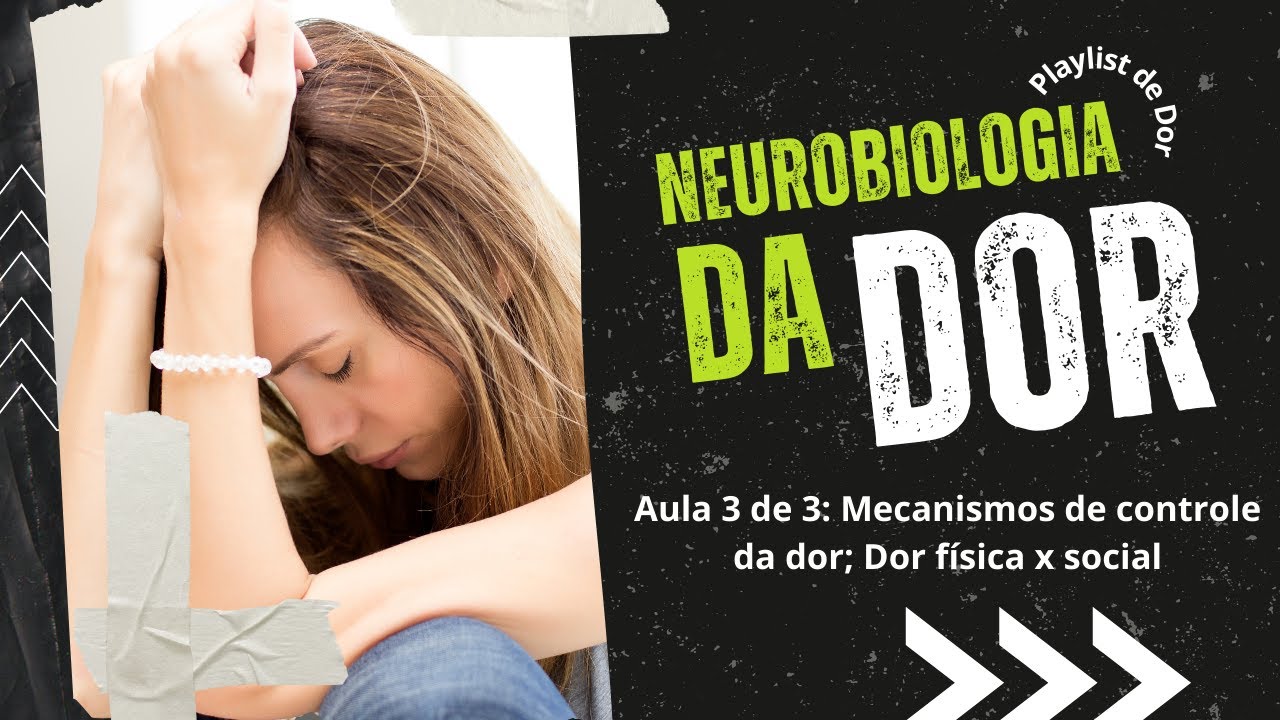 Neurobiologia da Dor: Mecanismos de controle da dor, dor f&iacute;sica e emocional
