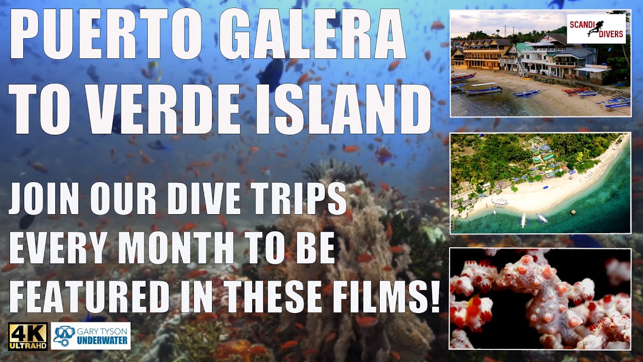 4K PUERTO GALERA TO VERDE ISLAND - Diving with Scandi divers Puerto Galera & Verde Island Sony A7IV