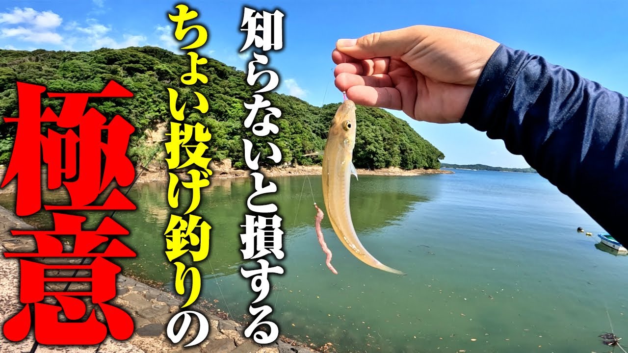 絶対にシロギスを釣って帰りたいなら、必ず知っておいて欲しいこと