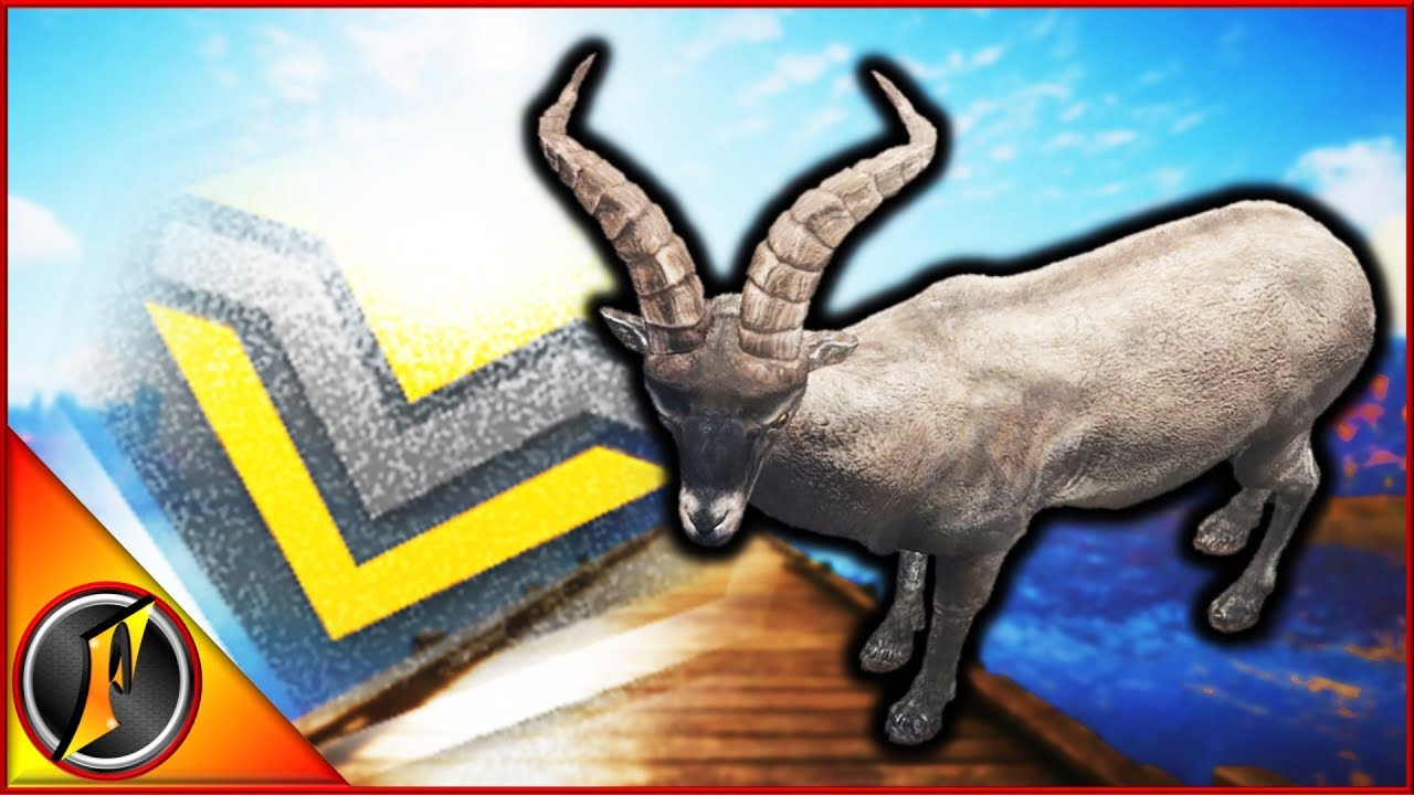 Hunting Ibex for the Diamond Grand Slam!