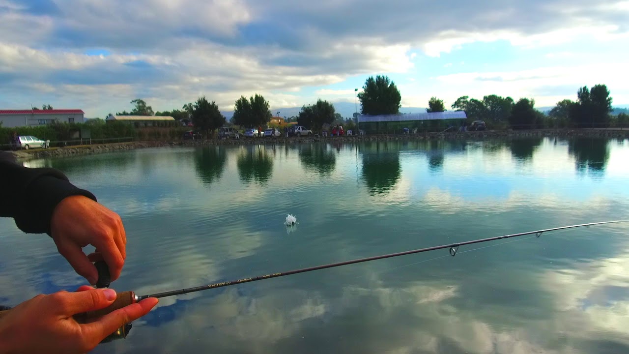 dOhna SPOON COLORE 208 (LAGHI ALBATROS)