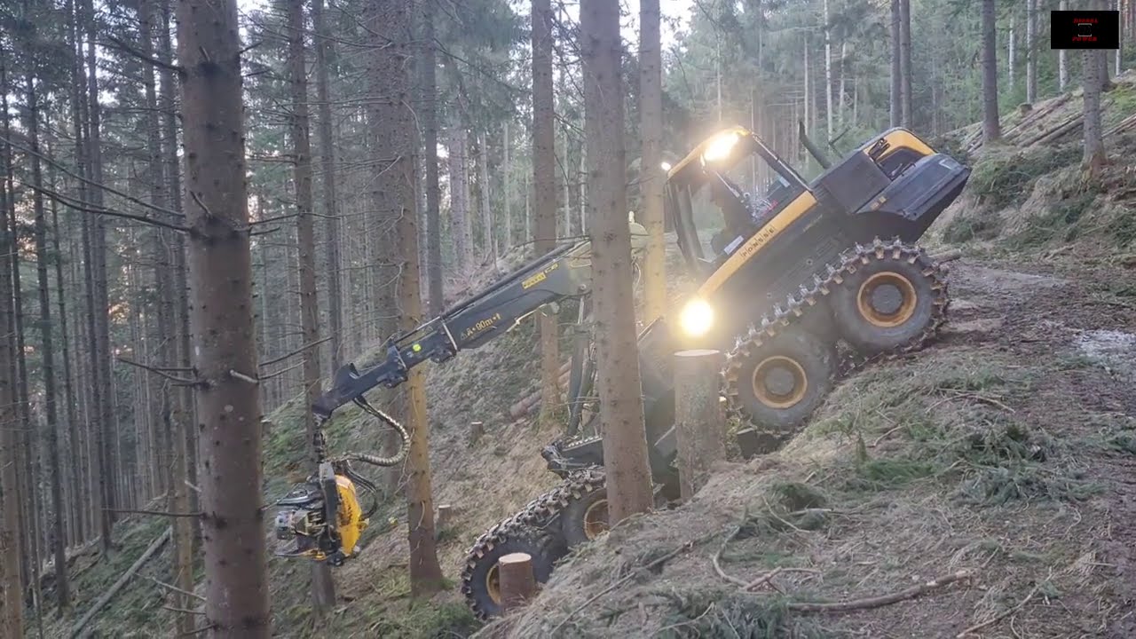 🌲 Ponsse Bear 🌲 Downhill 🌲