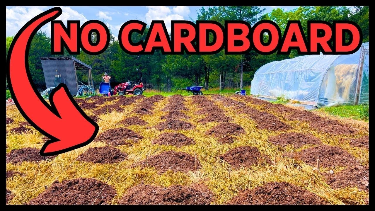 HOW TO BUILD THE ULTIMATE NO DIG GARDEN! (USING COVER CROPS AS A SHEET MULCH)