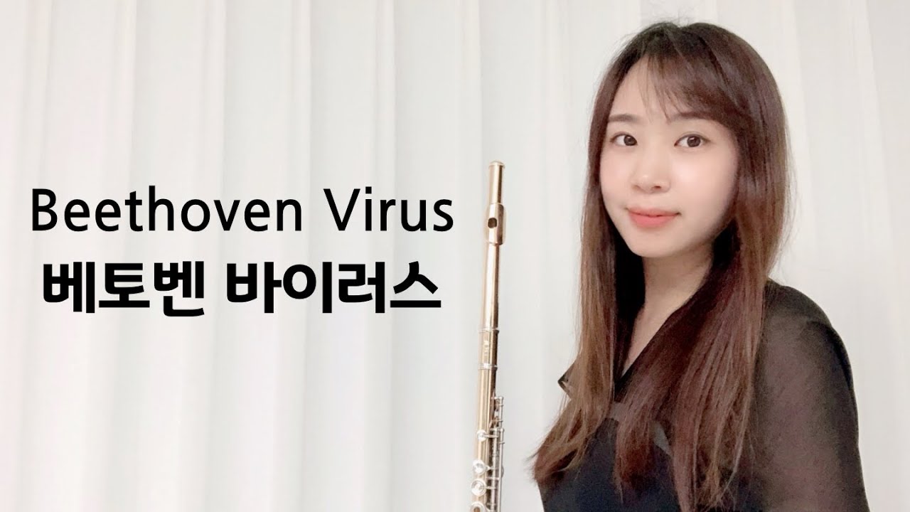 #Flute#Beethoven#Virus#Flute#베토벤바이러스#플룻연주곡#플루트커버#FluteCover