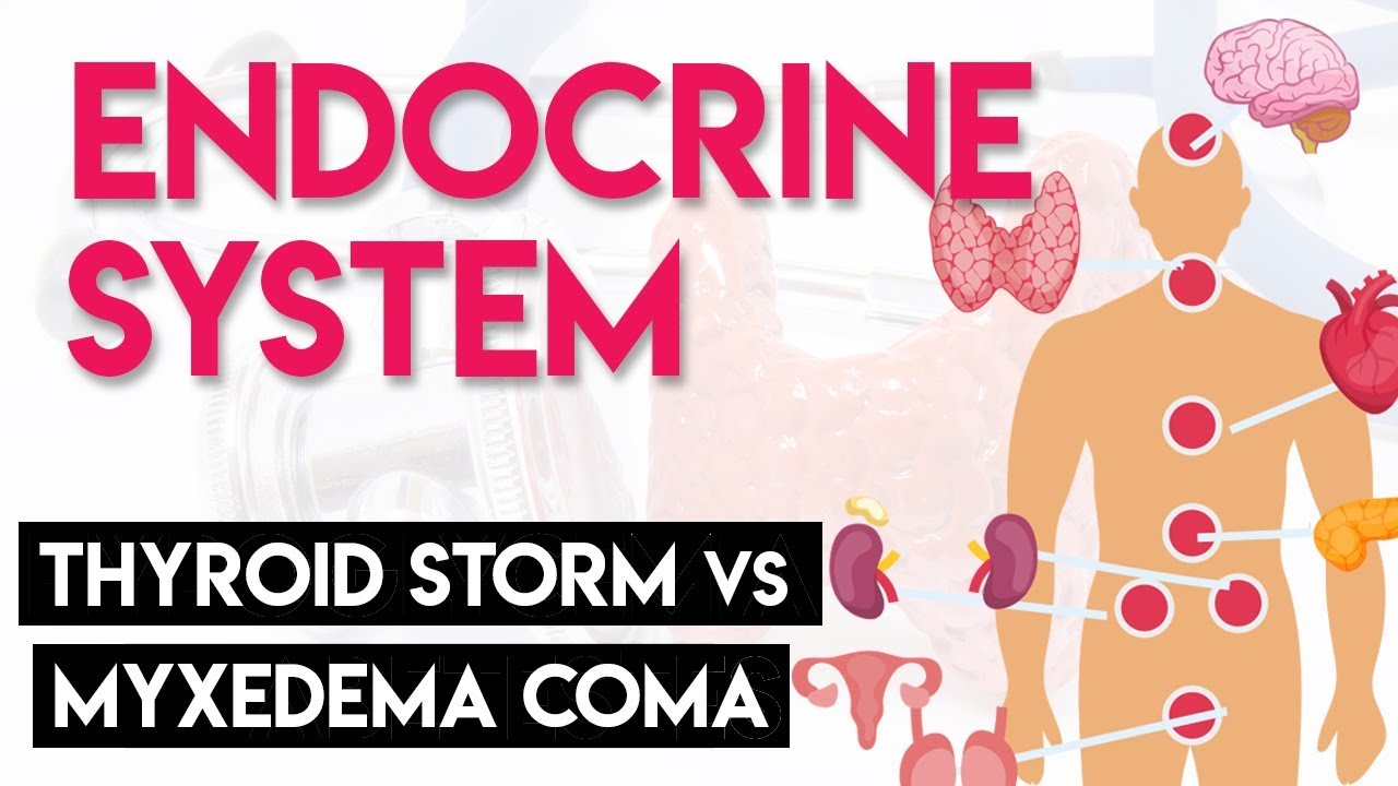 Thyroid Storm vs. Myxedema Coma | Endocrine System (Part 6)
