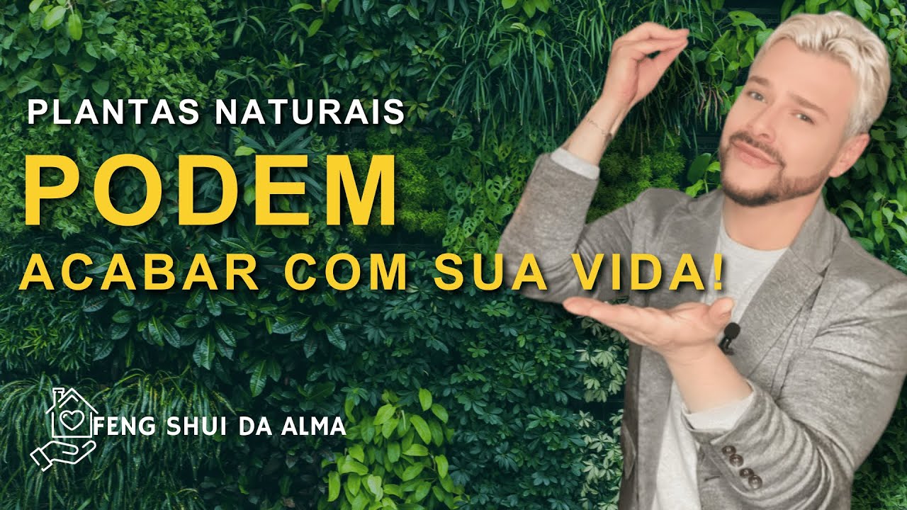 As Mentiras Sobre Plantas e Feng Shui e Mais 2 PLANTAS para cada cômodo da CASA/ Luiz Netto