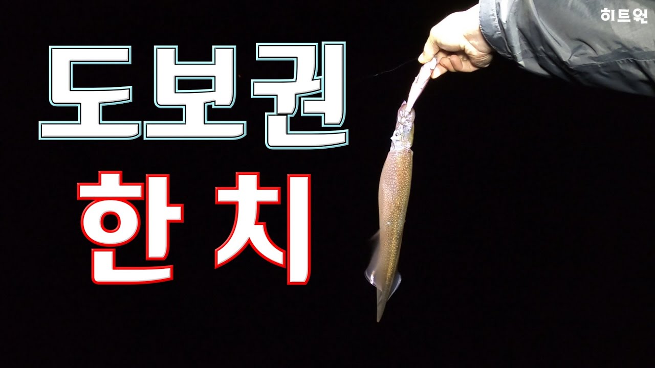 [한치 낚시] 한치!! 핫하다길래 다녀왔습니다!!