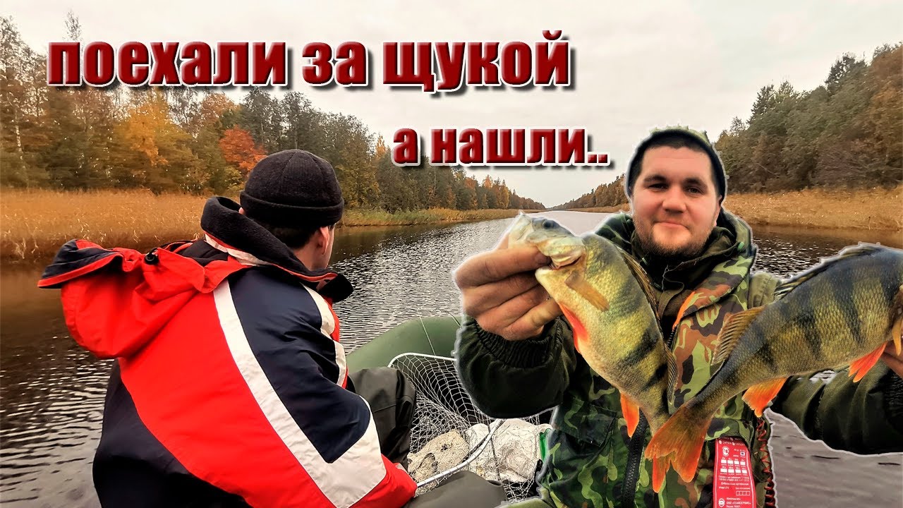 ЛАДОГА ЛИГОВО рыбалка ОСЕНЬ