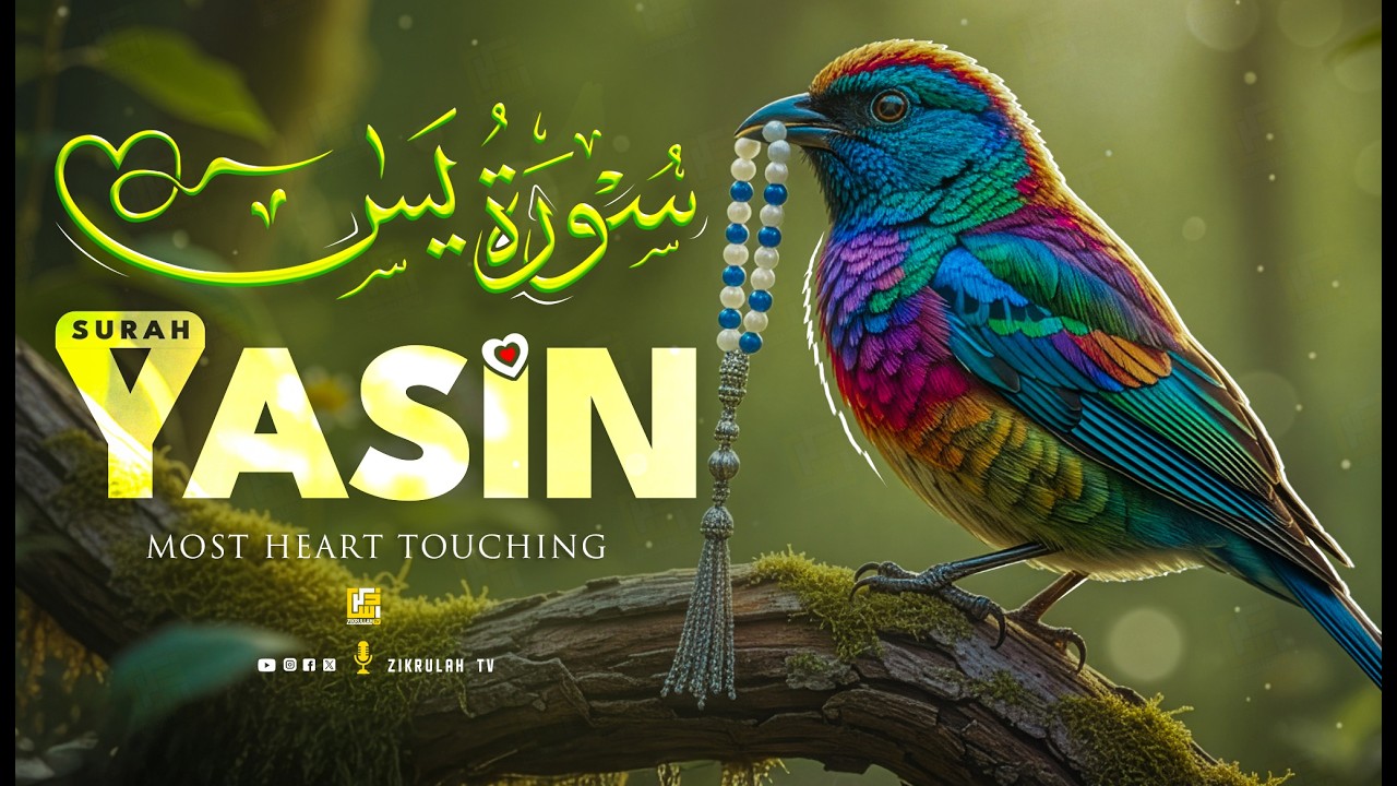سورة يس 💖 Surah Yaseen | Heart-Touching Quran Recitation | Zikrullah TV
