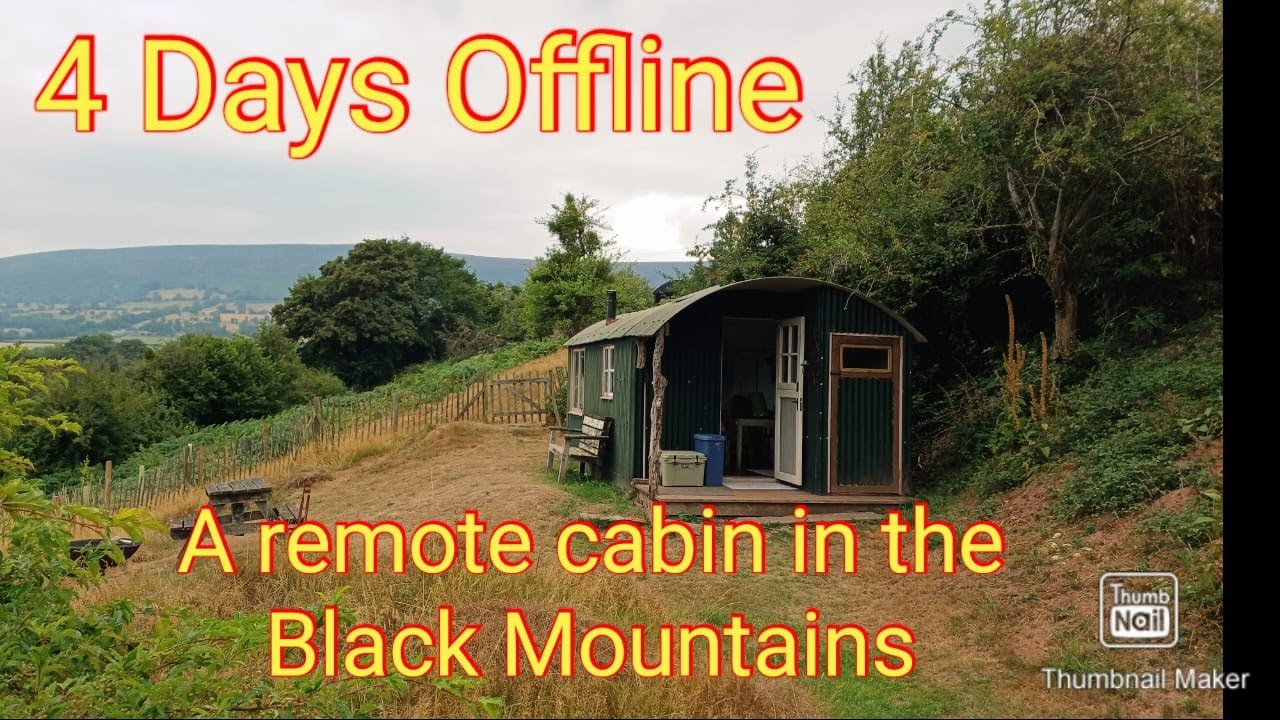 4 Days Offline, A cabin retreat with my dog