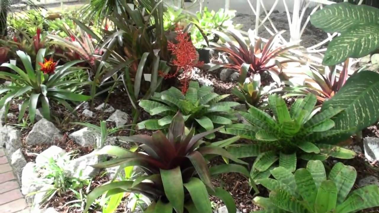 3º BromeliaRIO