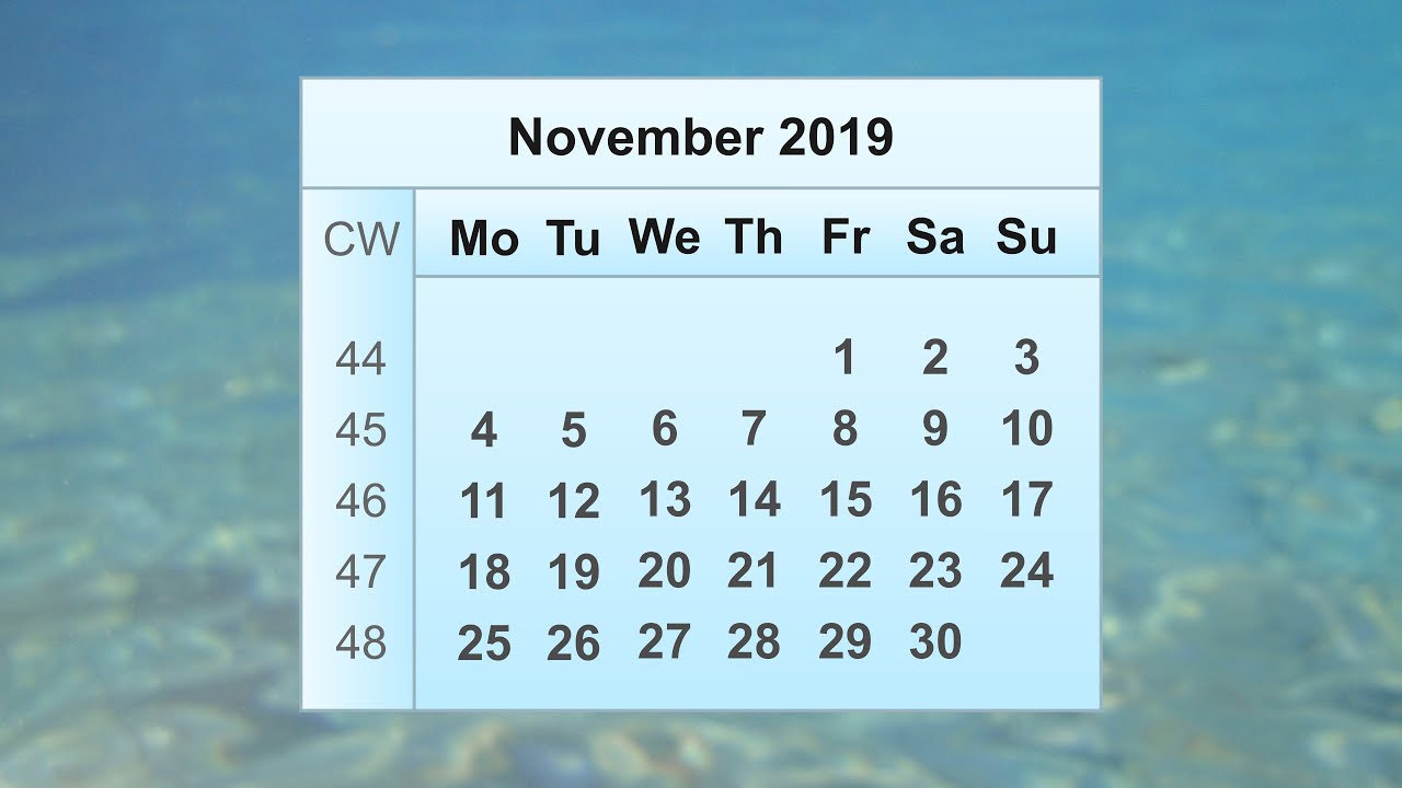 November 2019 Calendar