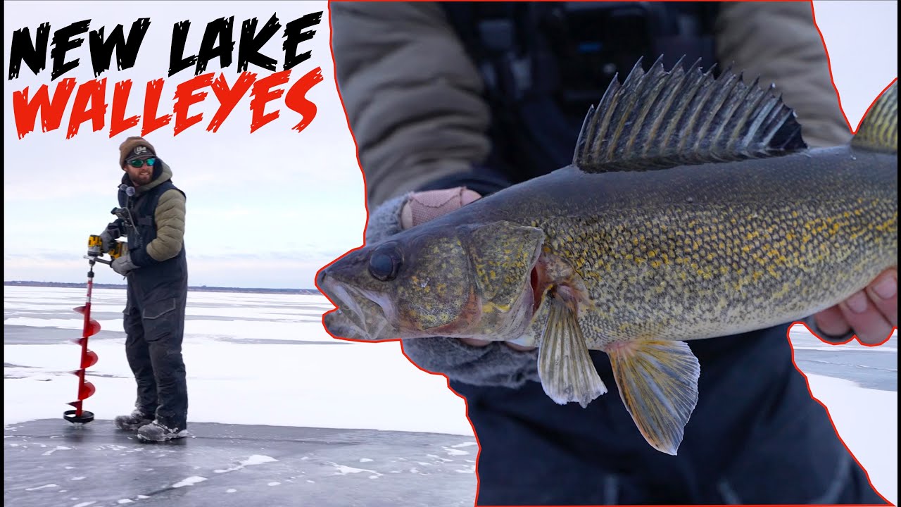 How to Catch Walleyes Ice Fishing NEW LAKE!