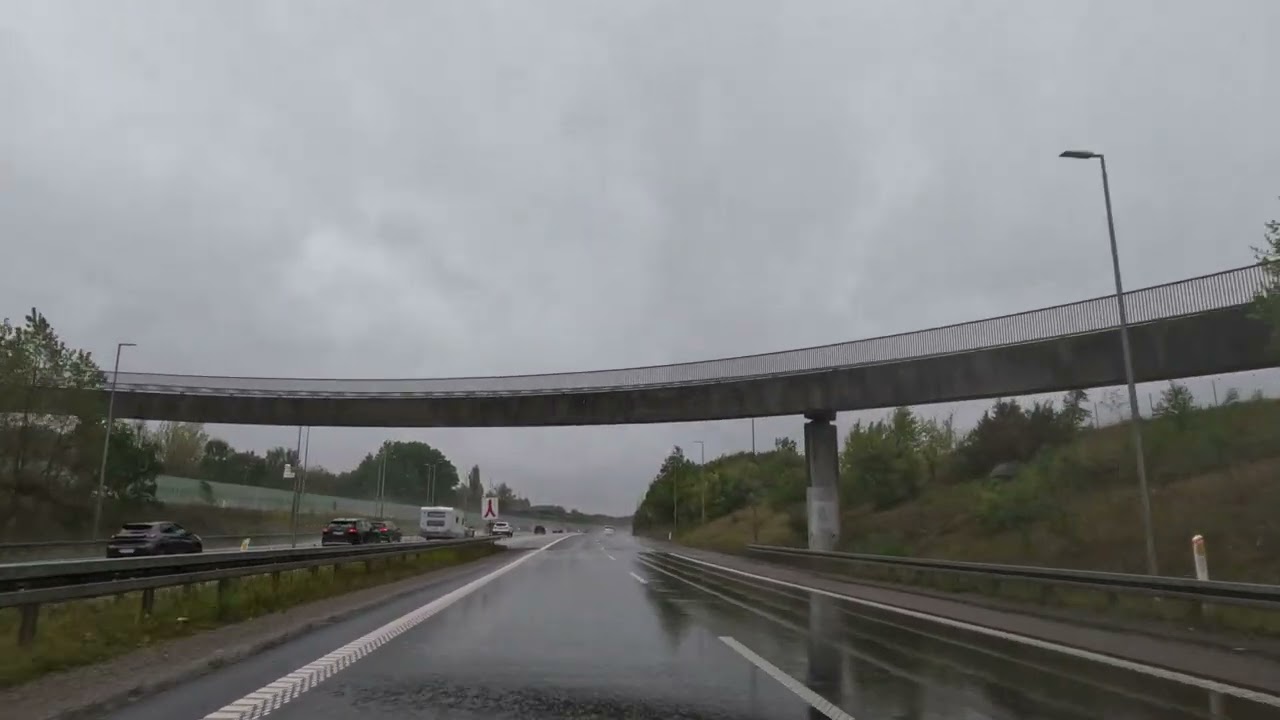 فيروز مع قيادة تحت المطر و لحظات خريف لا تُنسى 🍂☔