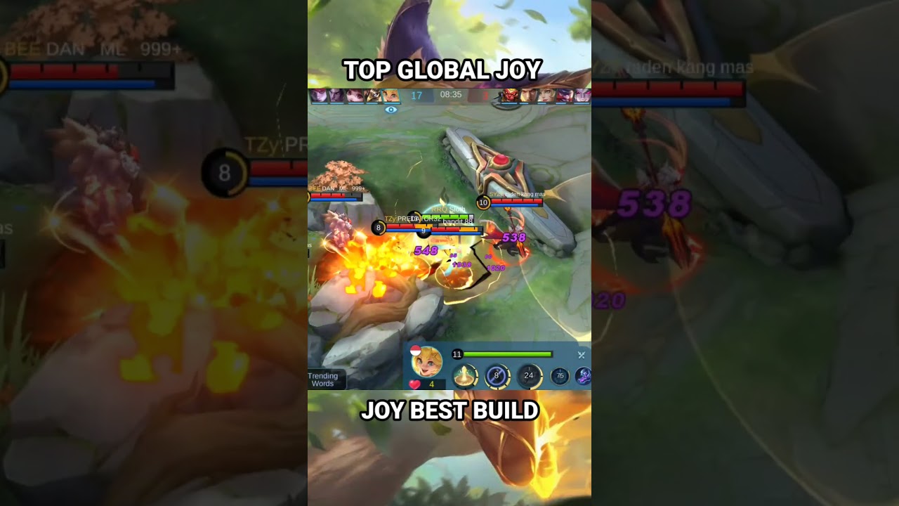 TOP GLOBAL JOY 