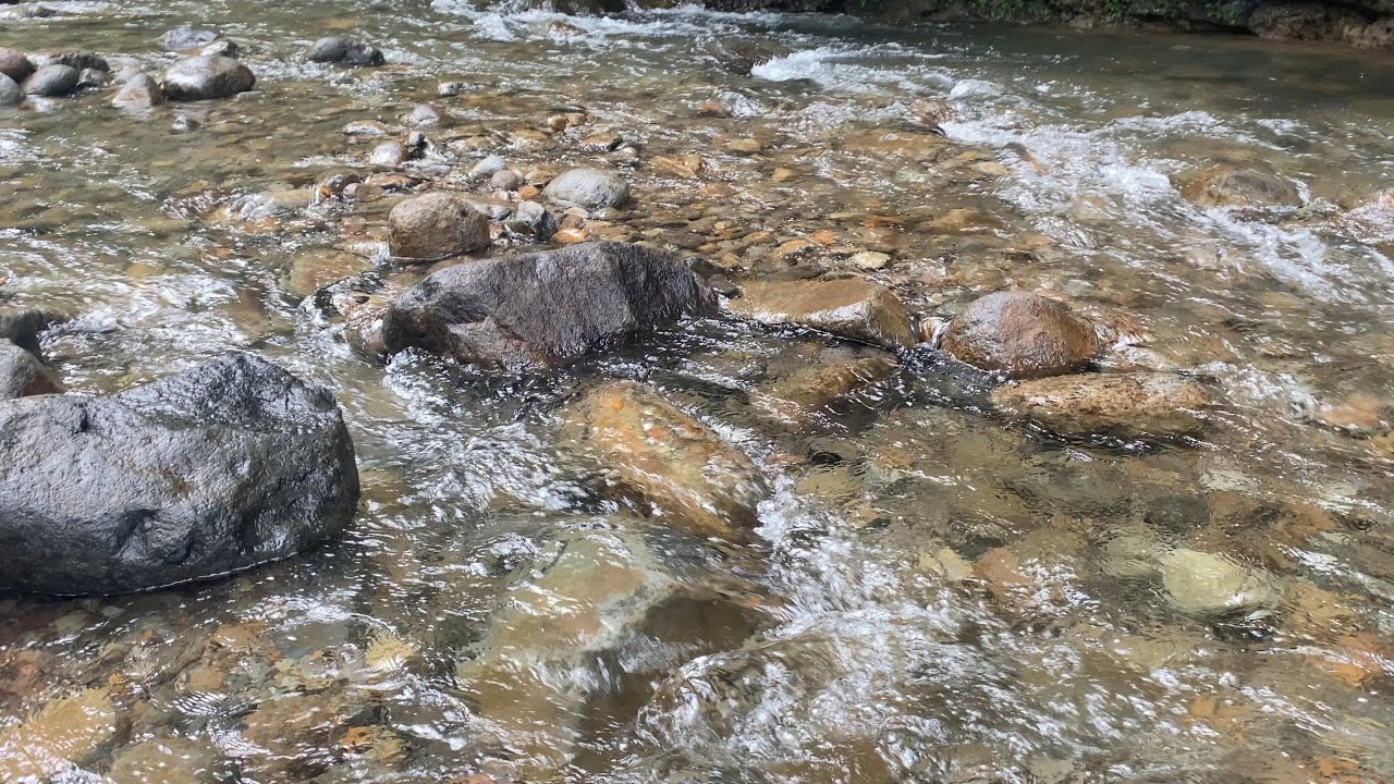 5 Hours Forest River Sounds | Calm Water Ambience for Sleep