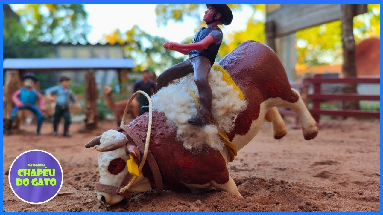 RODEIO DE TOUROS #chapeudogato