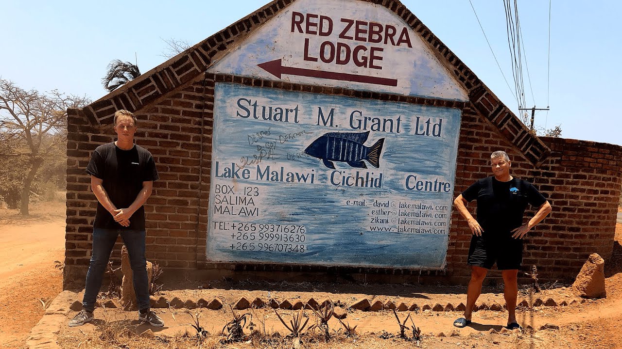 Red Zebra Lodge - The Lake Malawi Experience - #4