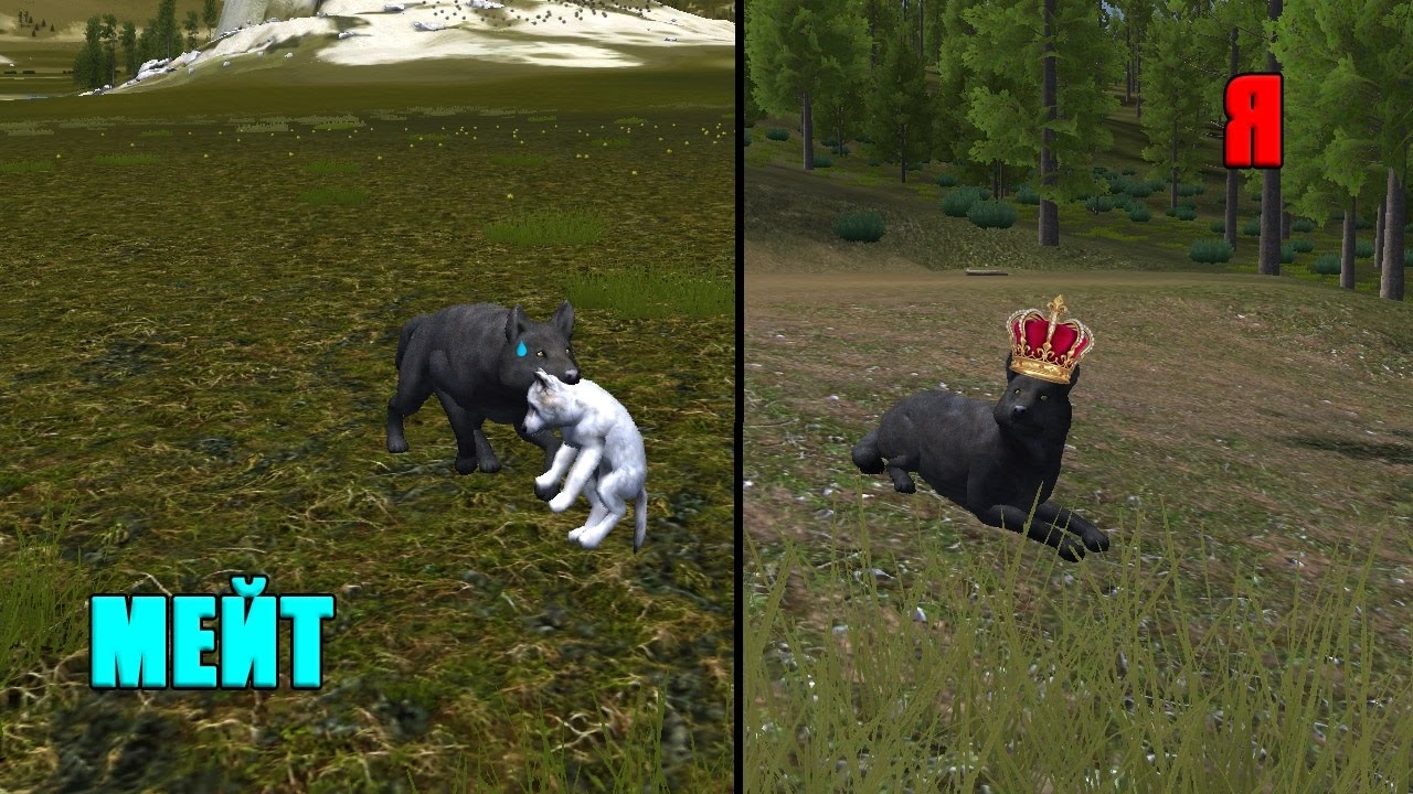 КАК БЫСТРО ПРОЙТИ ИГРУ?~WOLF QUEST 2.7.3