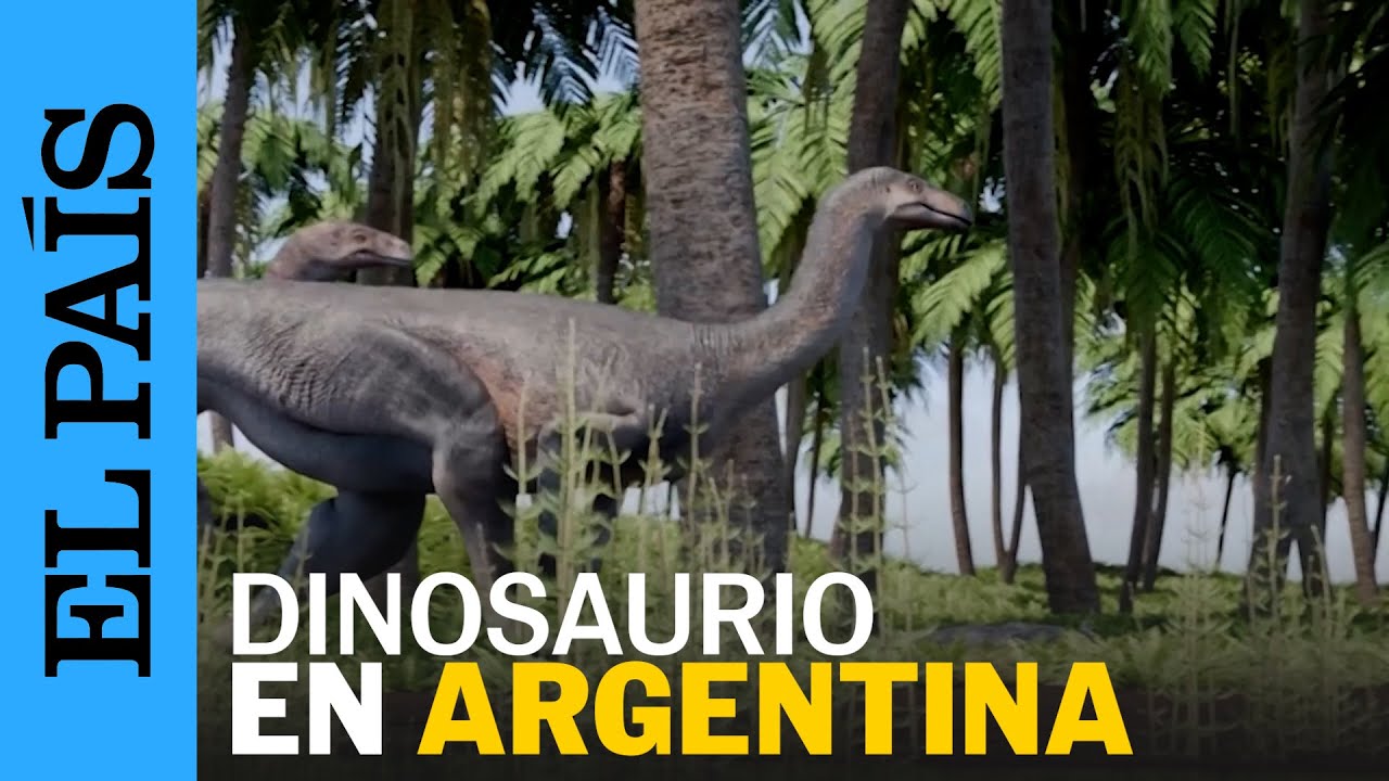 Científicos del CONICET hallan a DINOSAURIO de 230 millones de años | EL PAÍS