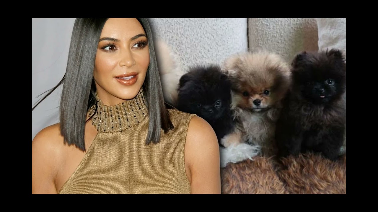 Kim Kardashian’s Kids Name the Family’s Newest Members – You Won’t Believe What They Chose!