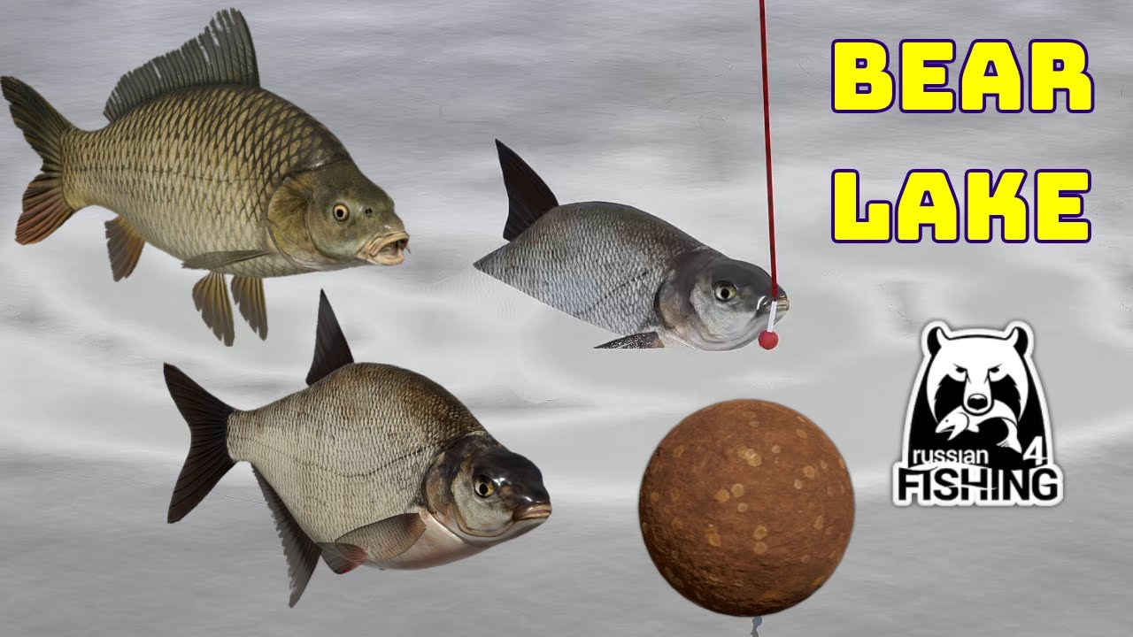 Bream Carp Bear lake (158) Russian Fishing 4
