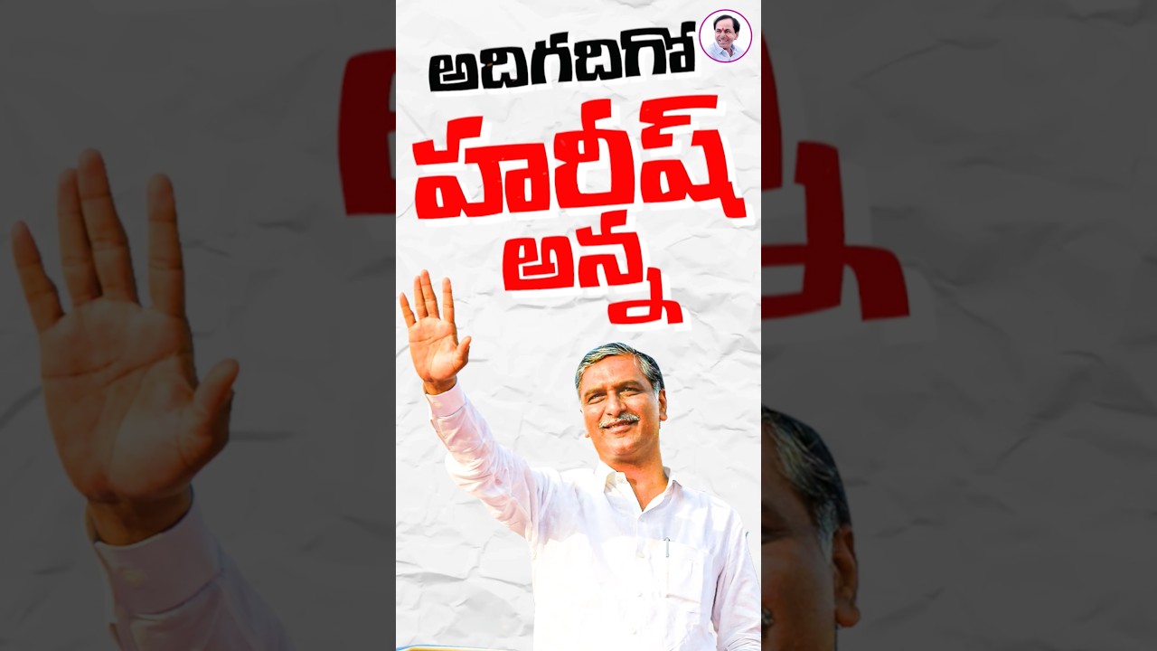 BOSS HARISHRAO ELECTION CAMPAIGN SOON..✊@KCRAdda @harishrao_team #kcr