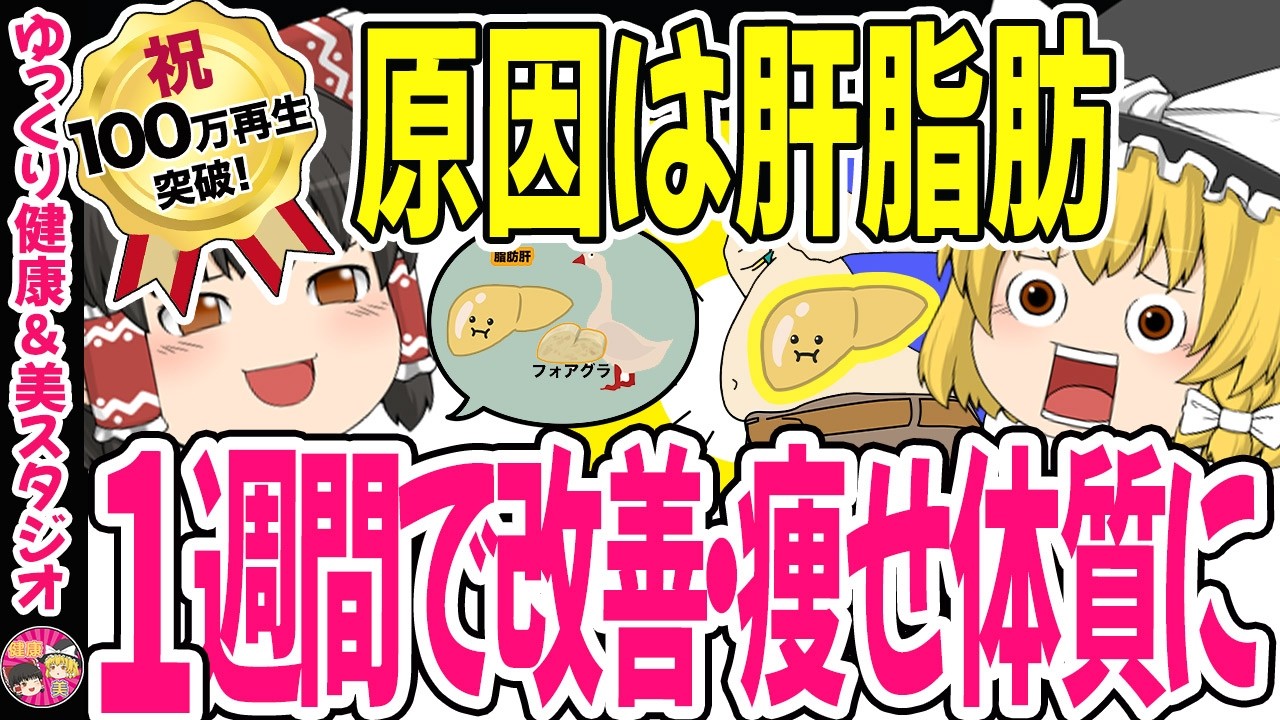【50代ダイエット】脂肪が減らない原因は脂肪肝だった・1週間で改善し脂肪を減らす・専門医が教える痩せ体質になる方法【ゆっくり解説】