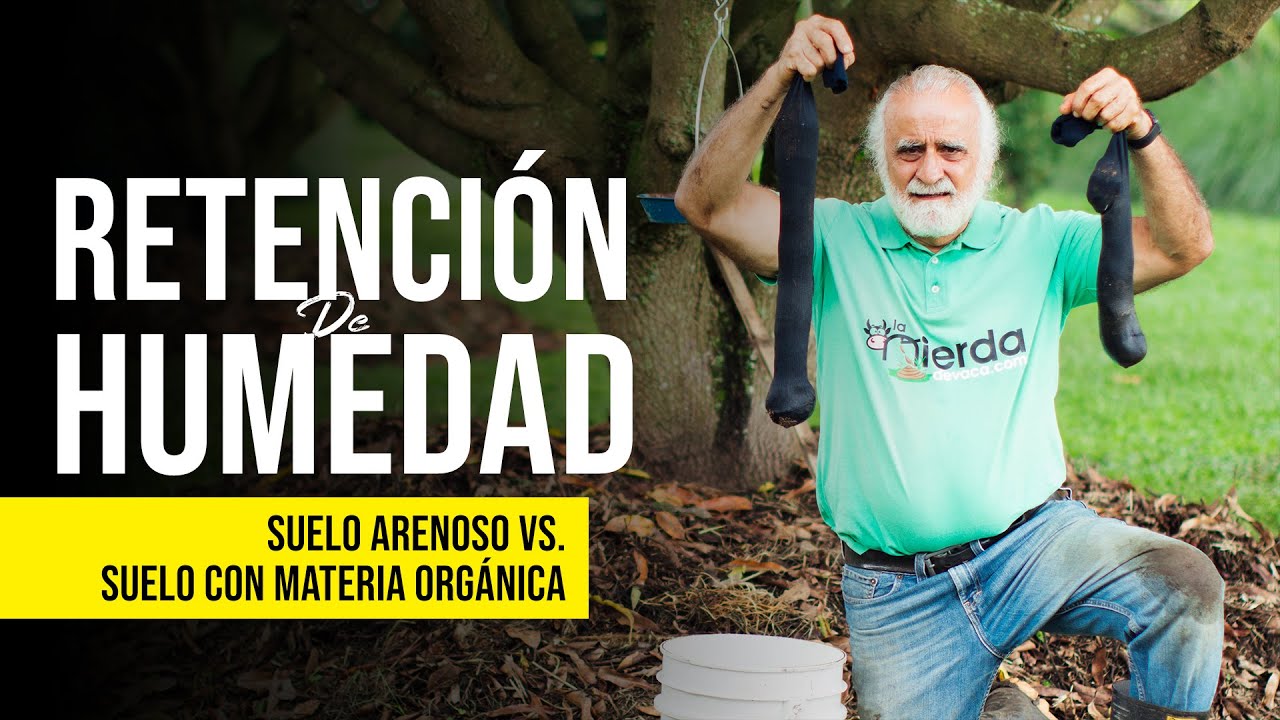 *COMPARACIÓN* RETENCIÓN DE AGUA EN SUELOS ARENOSOS vs. SUELOS CON MATERIA ORGÁNICA | Jairo Restrepo
