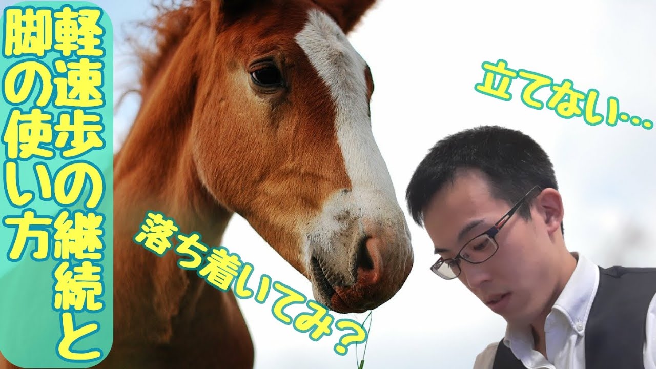 常歩、駈歩とはちょっと違う？軽速歩の継続と、扶助の使い方