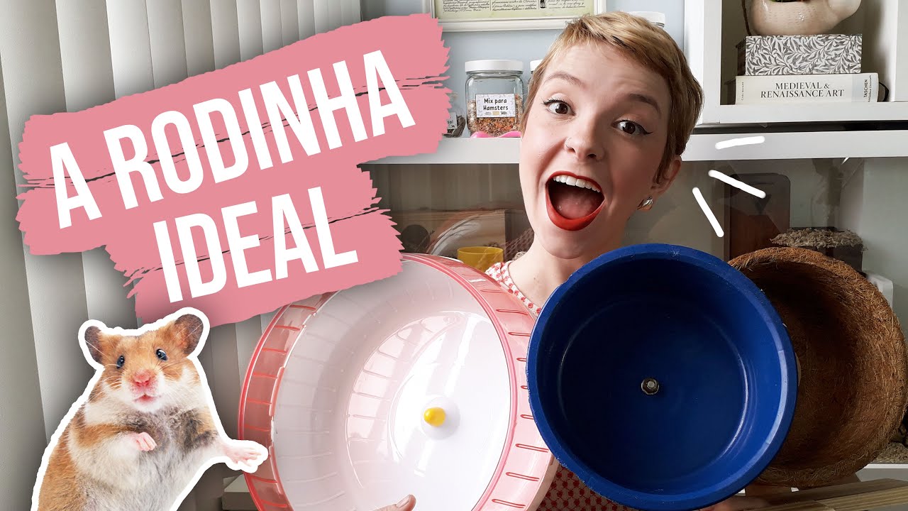 Qual RODINHA DE HAMSTER comprar? | Respondendo perguntas mais comuns