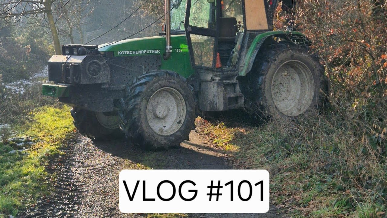 VLOG #101 DJI ACTION 6 im Einsatz, Holz transport, Bäume Fällen und rücken