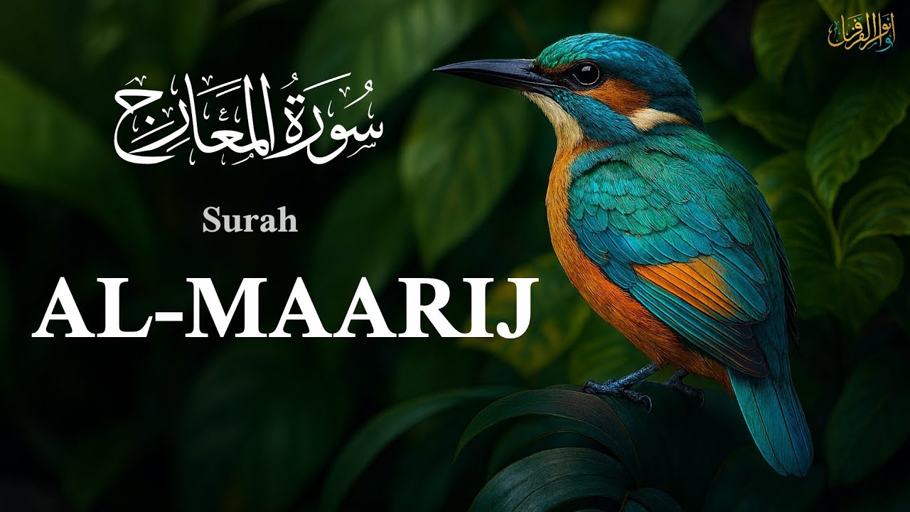 🎥 تلاوة خاشعة وتفسير سورة المعارج | Surah Al-Ma'arij Recitation & Tafsir (Arabic & English)