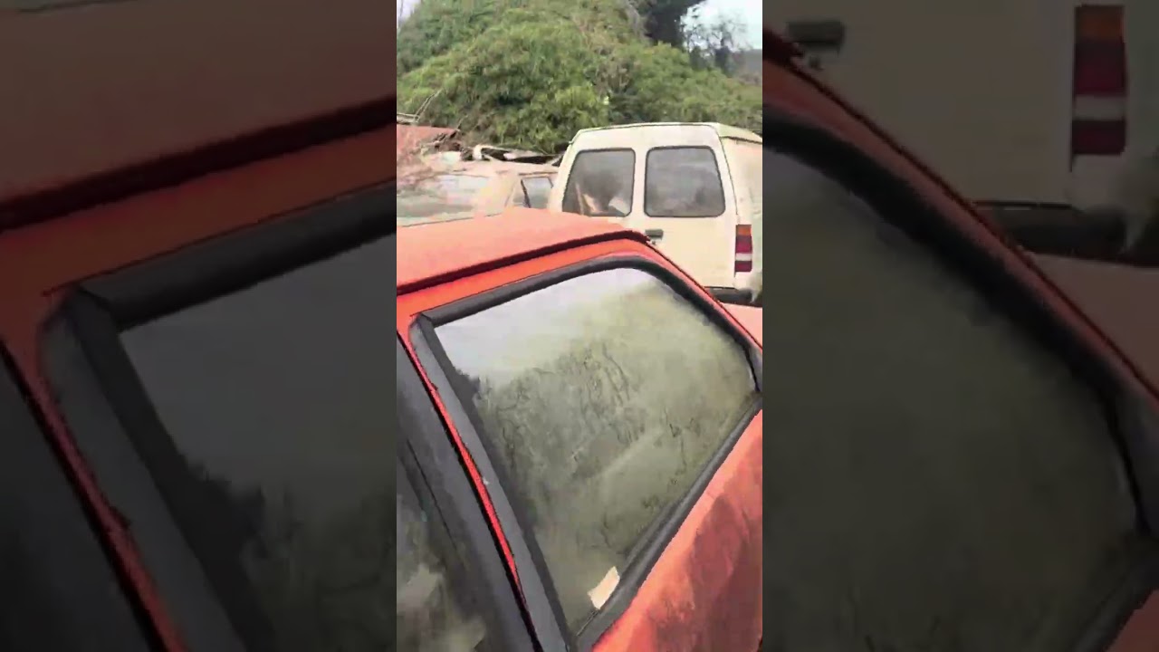 Cars. Garden full of abandoned cars. 