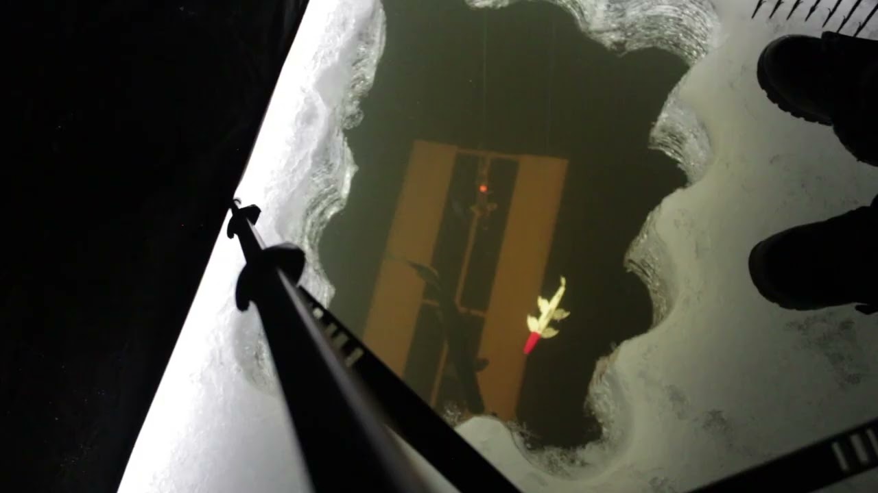 Spearing pike central mn 2026