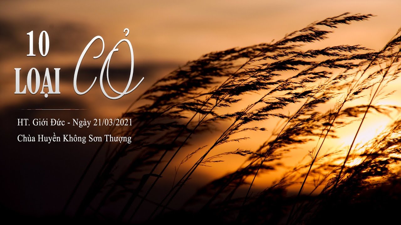 10 Loại Cỏ | HT Giới Đức | Chùa Huyền Không Sơn Thượng | Ngày 21/03/2021