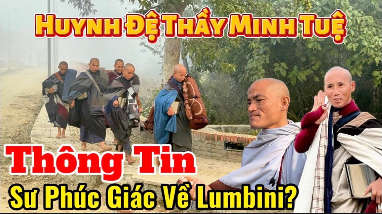Thông Tin Sư Phúc Giác Về Lumbini? Các Huỳnh Đệ Thầy Minh Tuệ An Lạc Sáng 20/1 #thayminhtue 