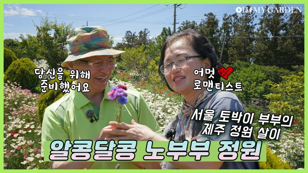 꽃씨 가득 놀이터 Old Couple's Romantic Garden  | 정원의 발견 Wonders of Garden | KBS제주 20210528 방송