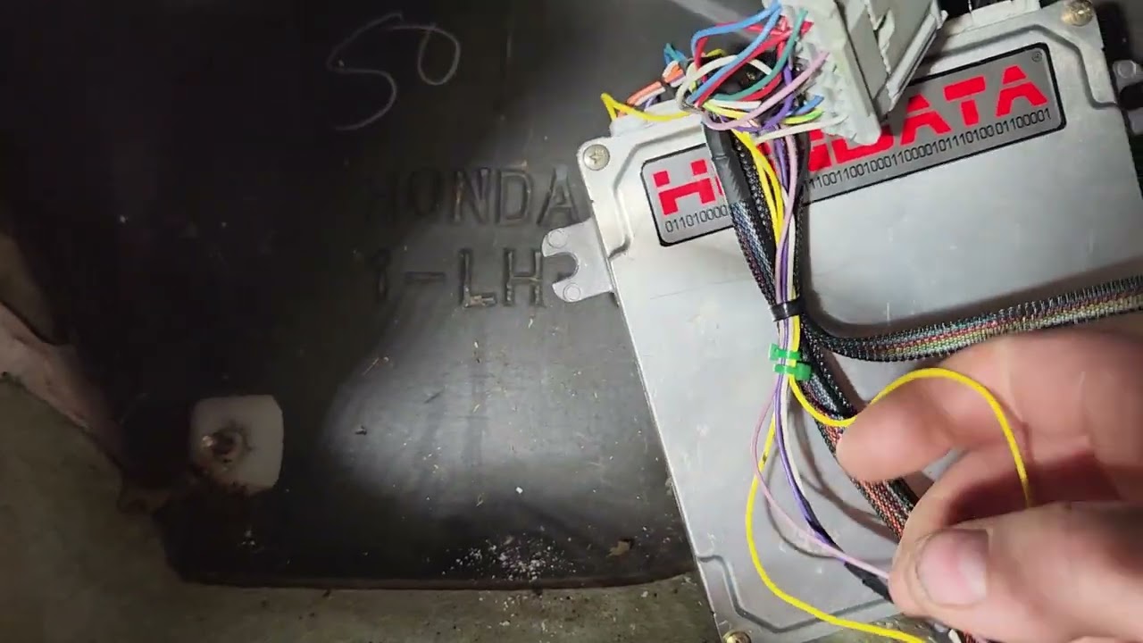 K-Swap Wiring 101: Hasport Universal Harness Install Tutorial